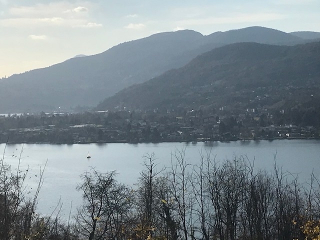 Immagine di copertina