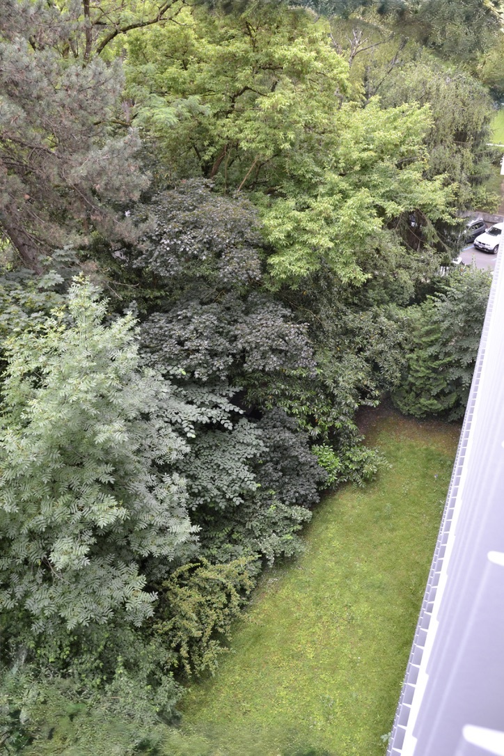 Vue extérieure 1