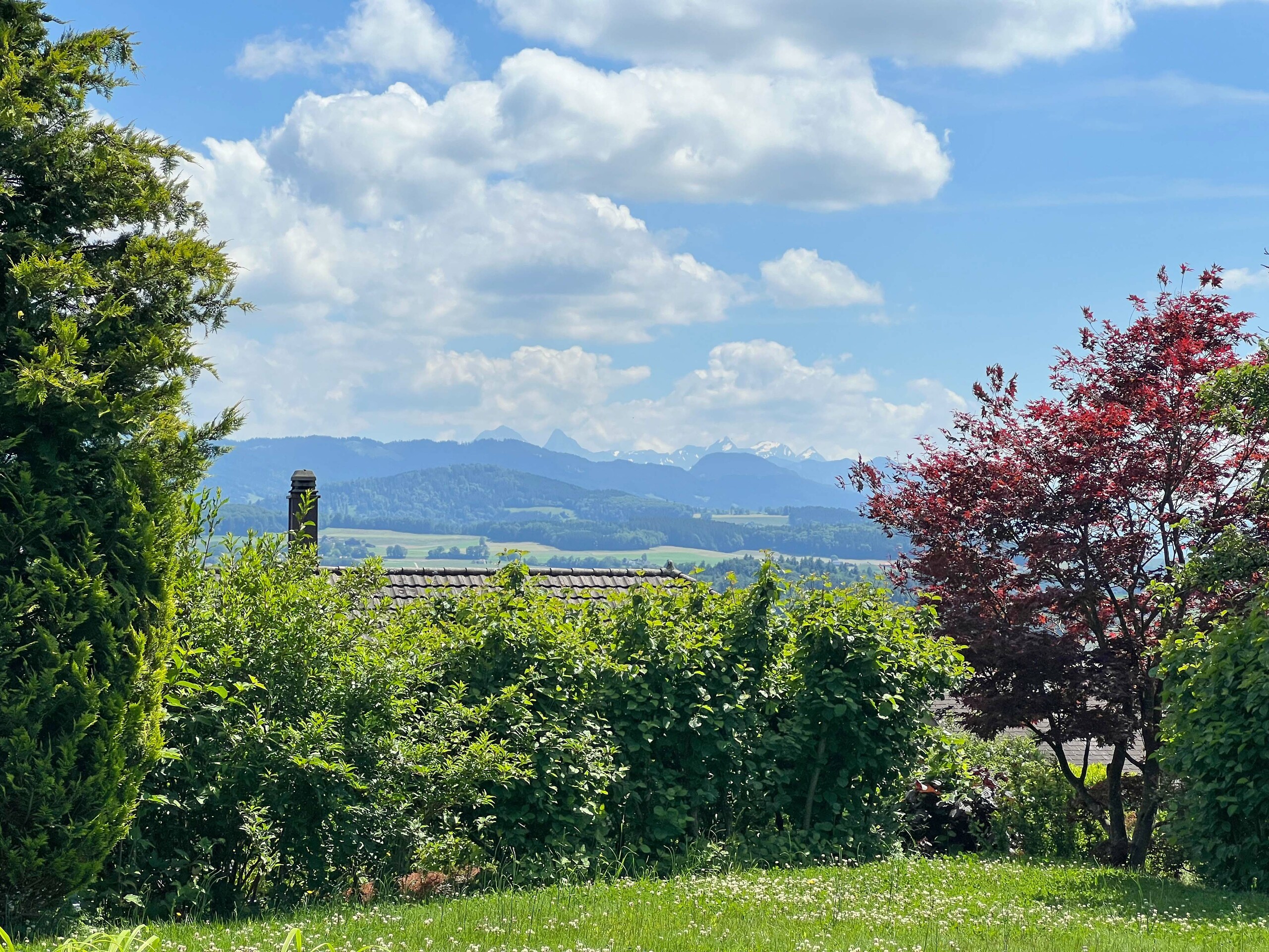 Vue sur le Préalpes