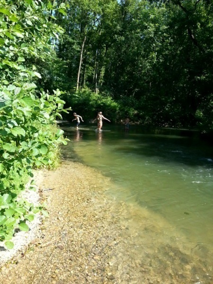 Picture 7