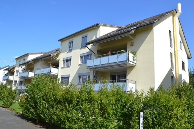 Immagine di copertina