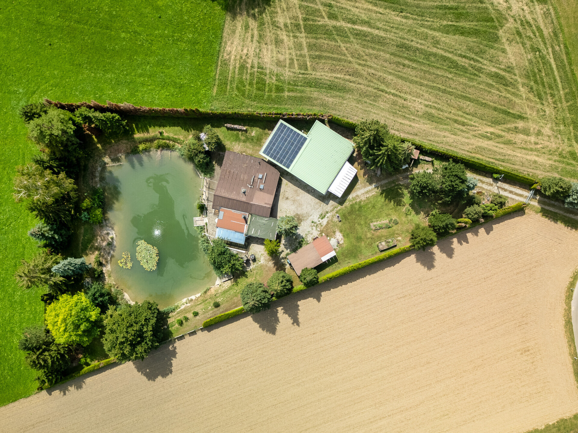 Premier coup d'oeil 5