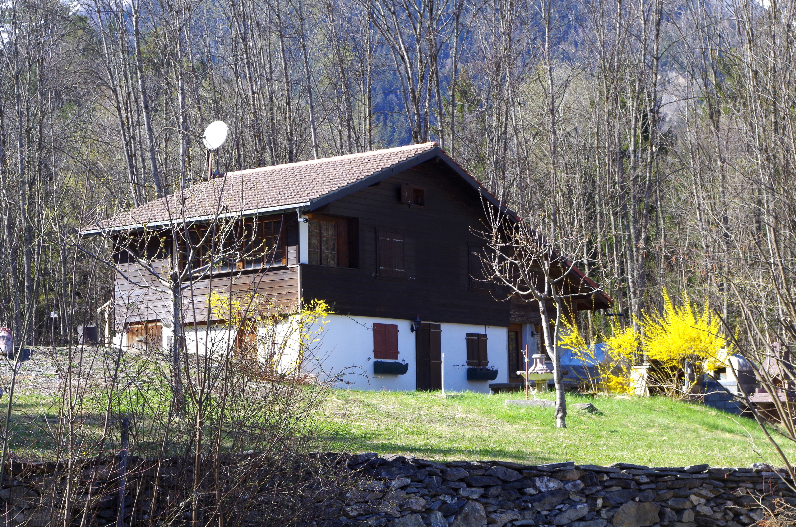 Picture 1