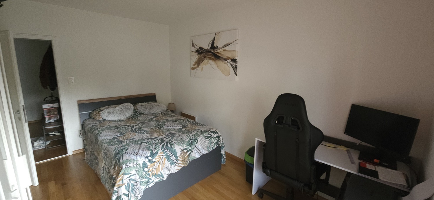 Picture 4