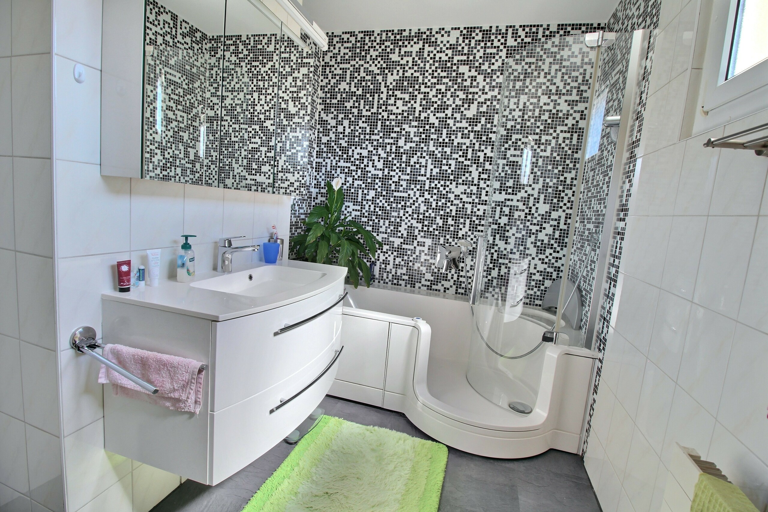 Salle de bains / douche