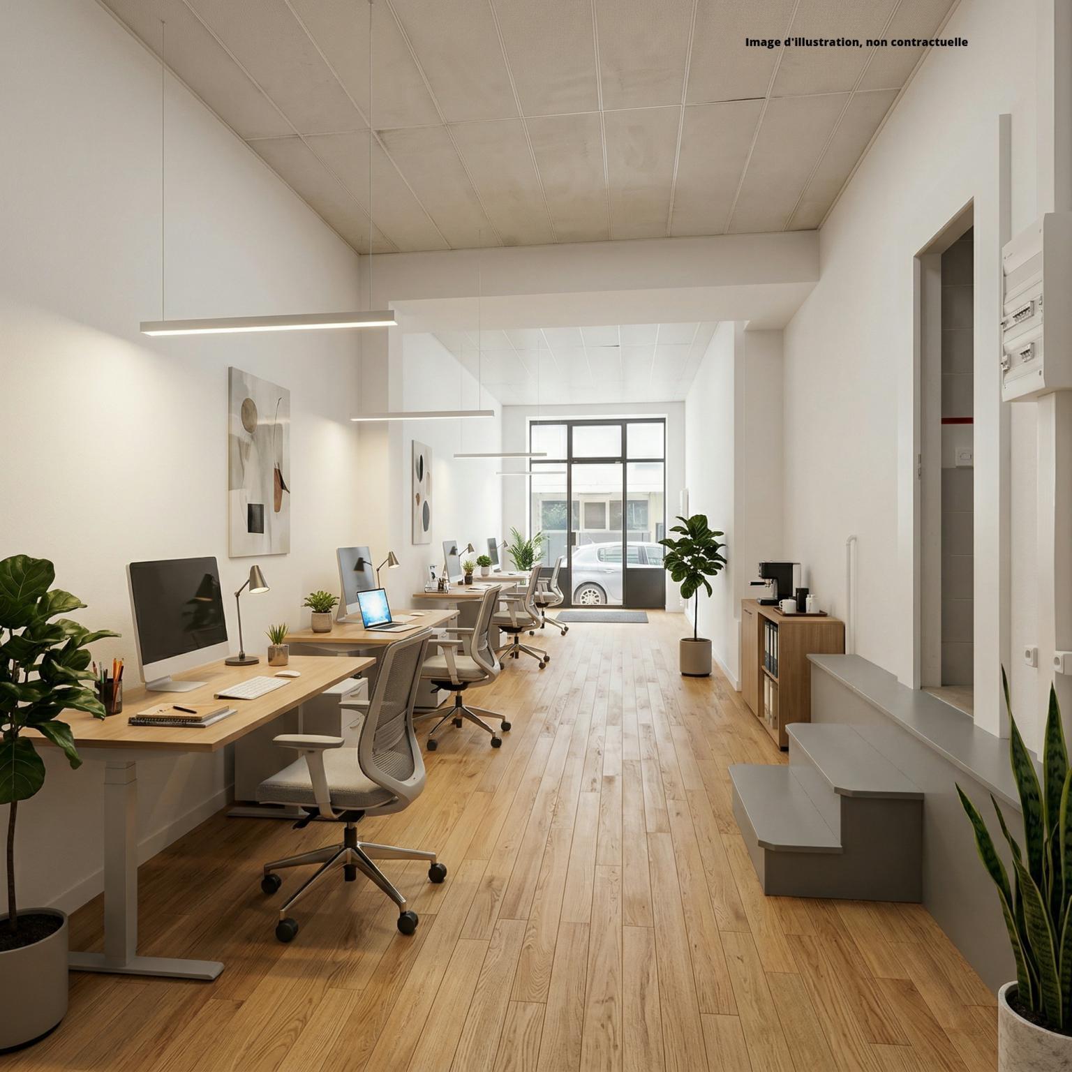 Immagine di copertina 2