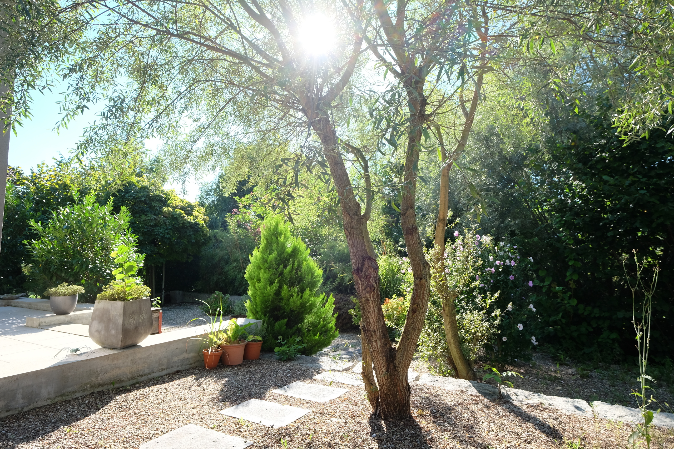 Idyllischer Garten Idyllischer Garten