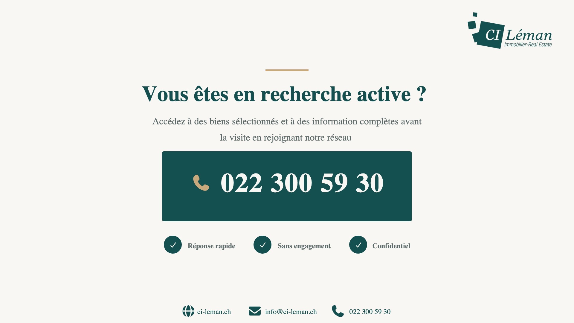 la conception du logo pour le site web