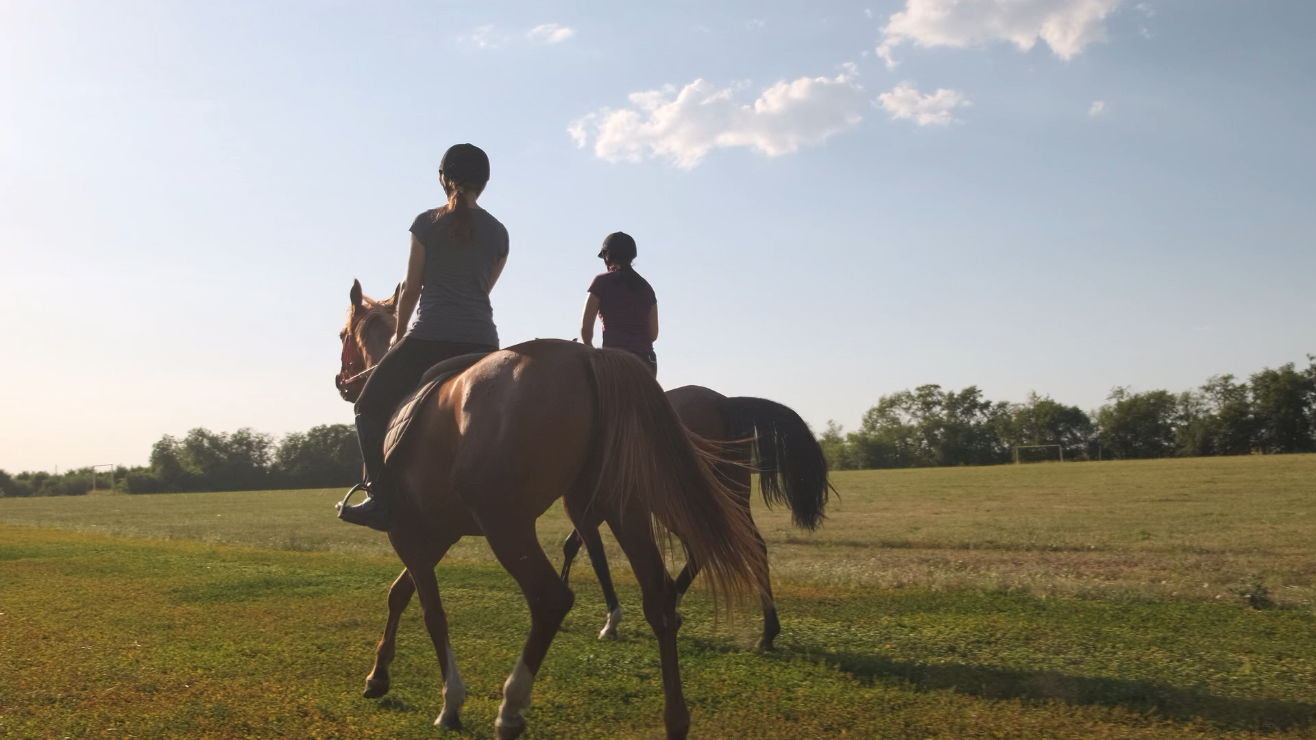idéalement situé pour  les balades à cheval