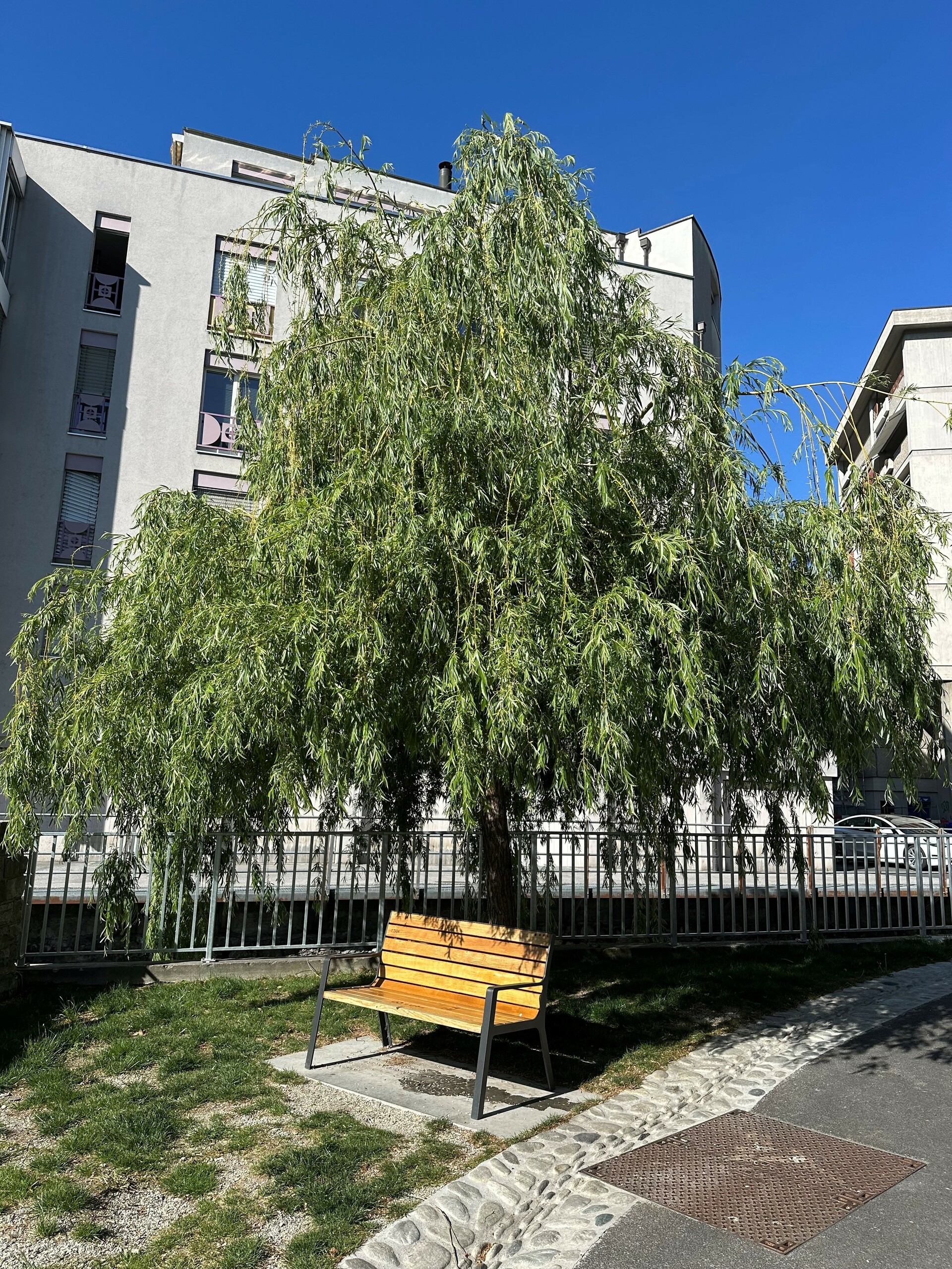 Rue des Aubépines agréable à vivre, au calme Rue des Aubépines agréable à vivre, au calme