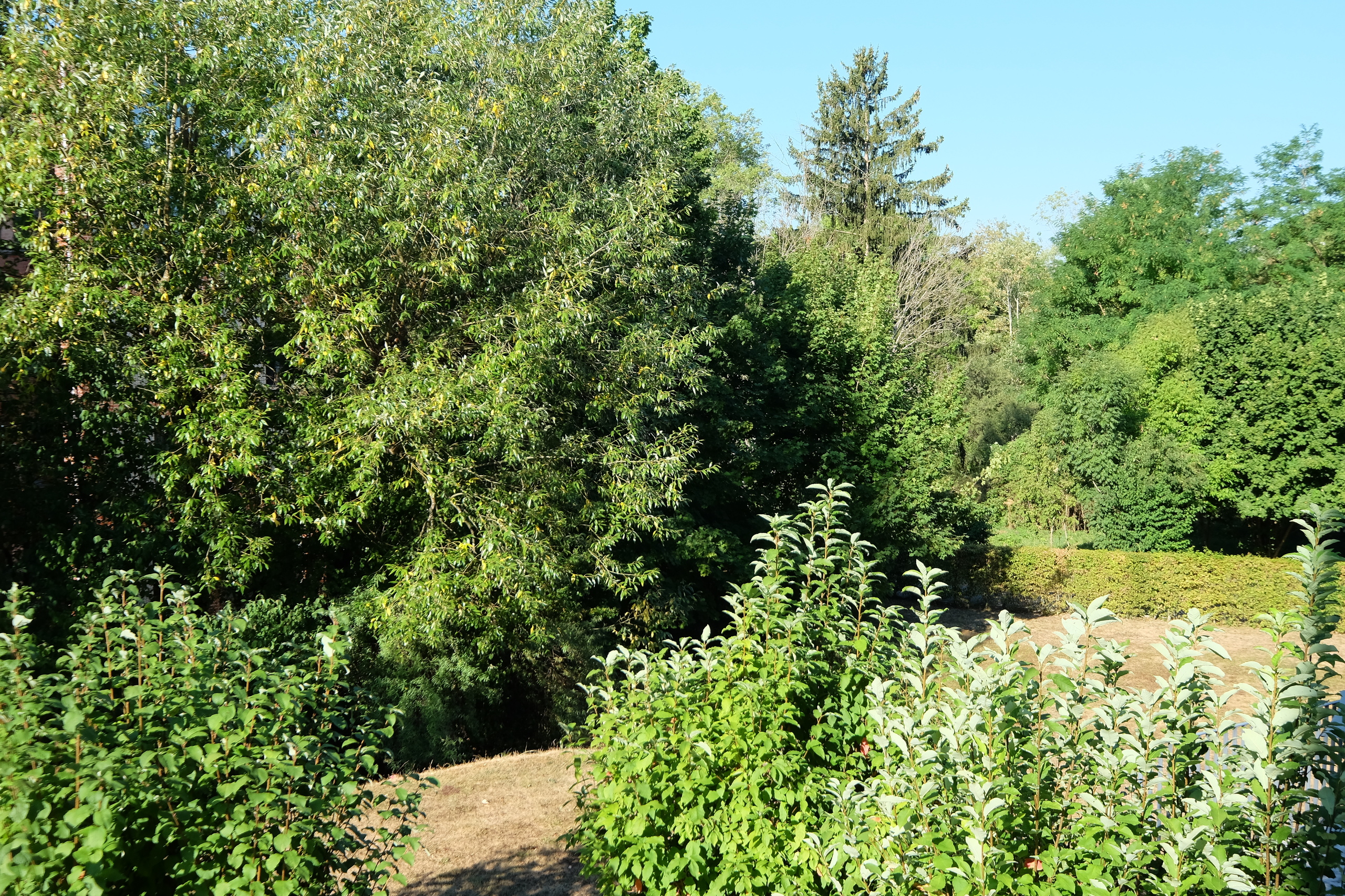 Blick ins Grüne und zum Bächlein