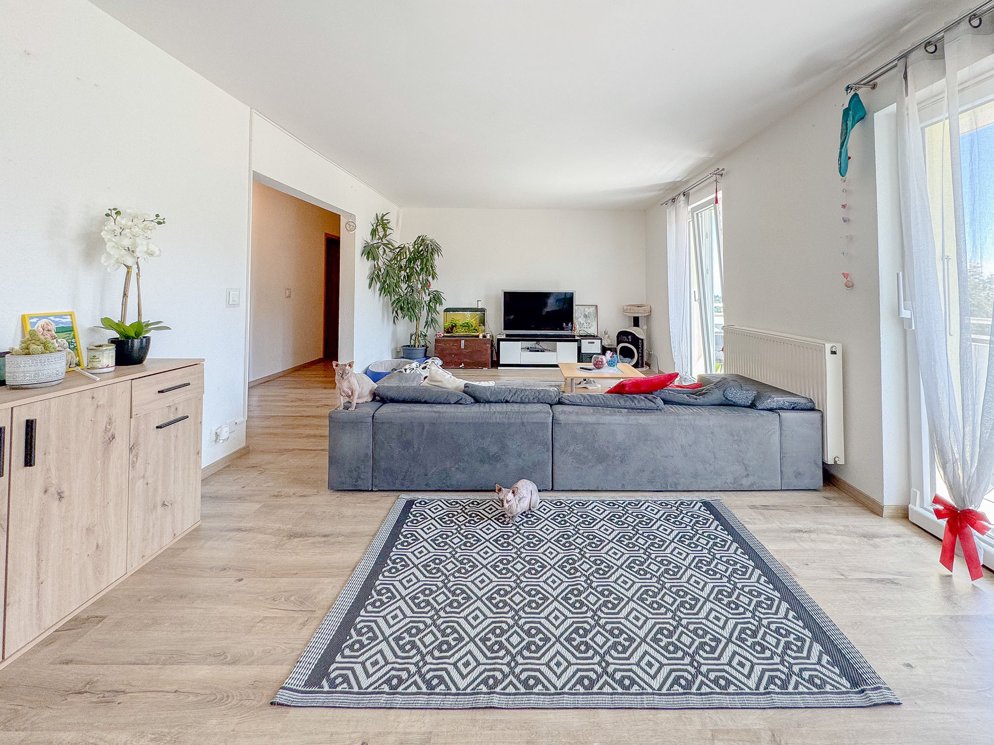 Espace salon Espace salon