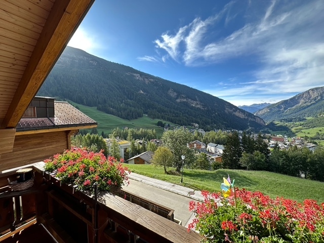 Ausblick
