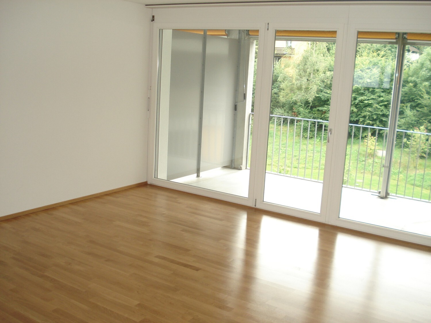 Picture 10