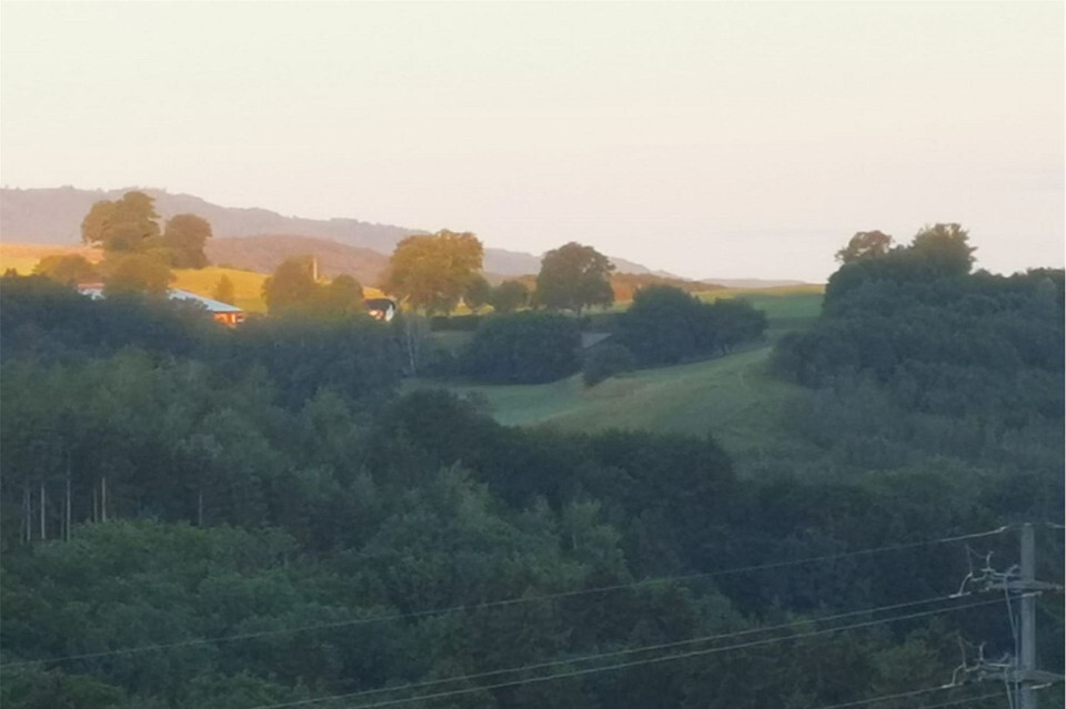 Foto 11