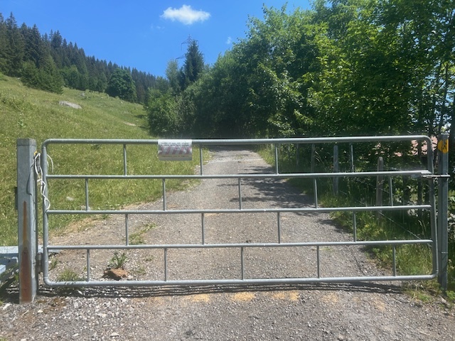 Photo 25