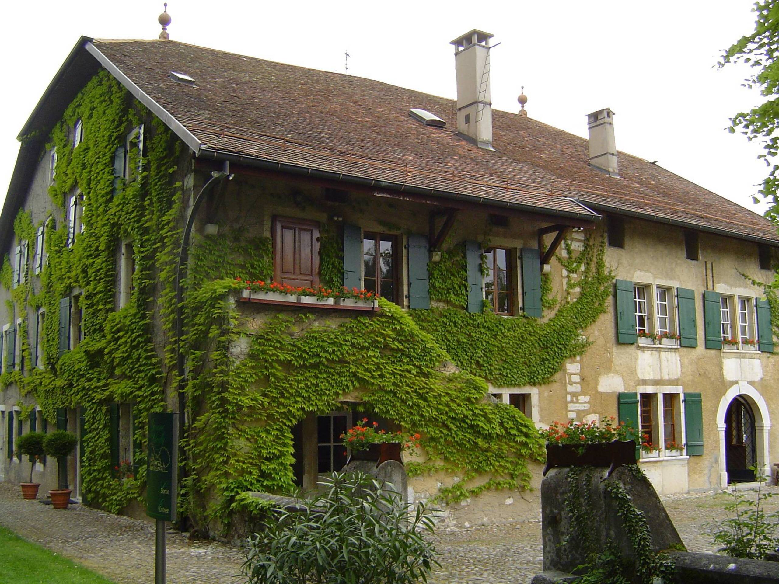 Foto 2