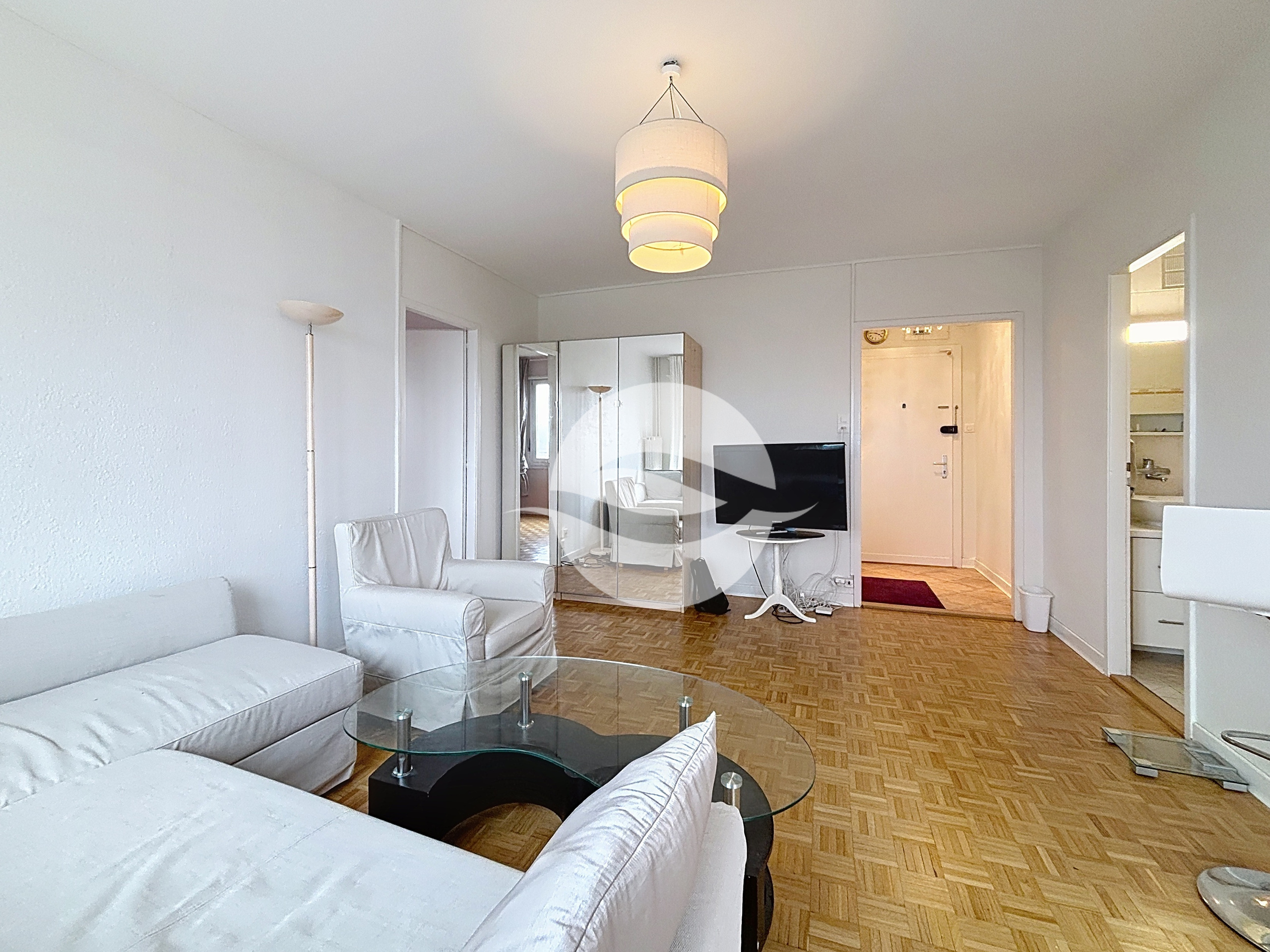 Grand salon lumineux