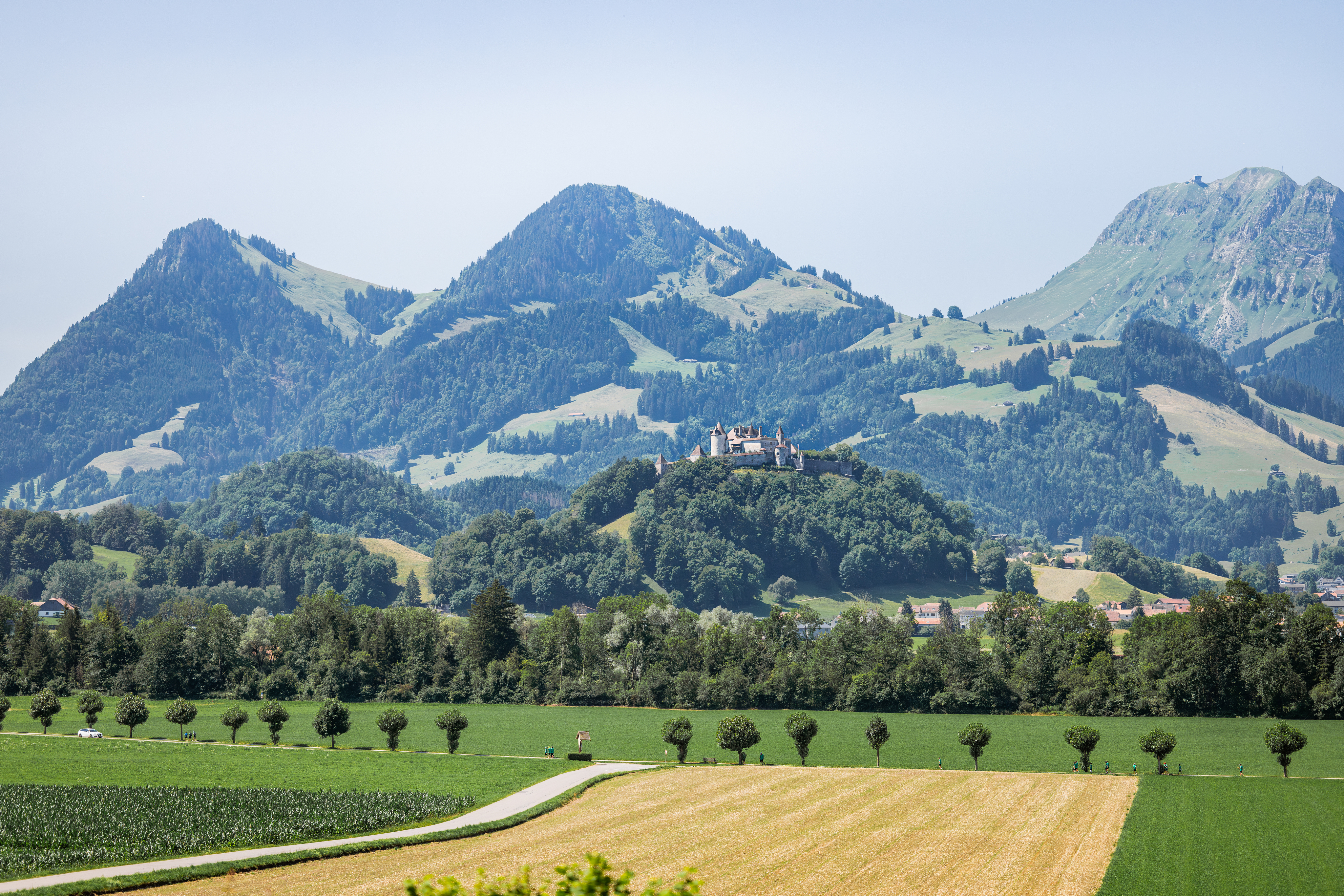Courtier immobilier Fribourg