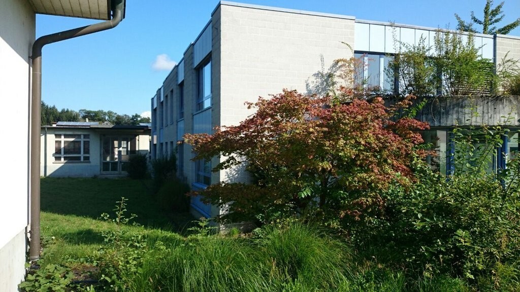 Foto 1