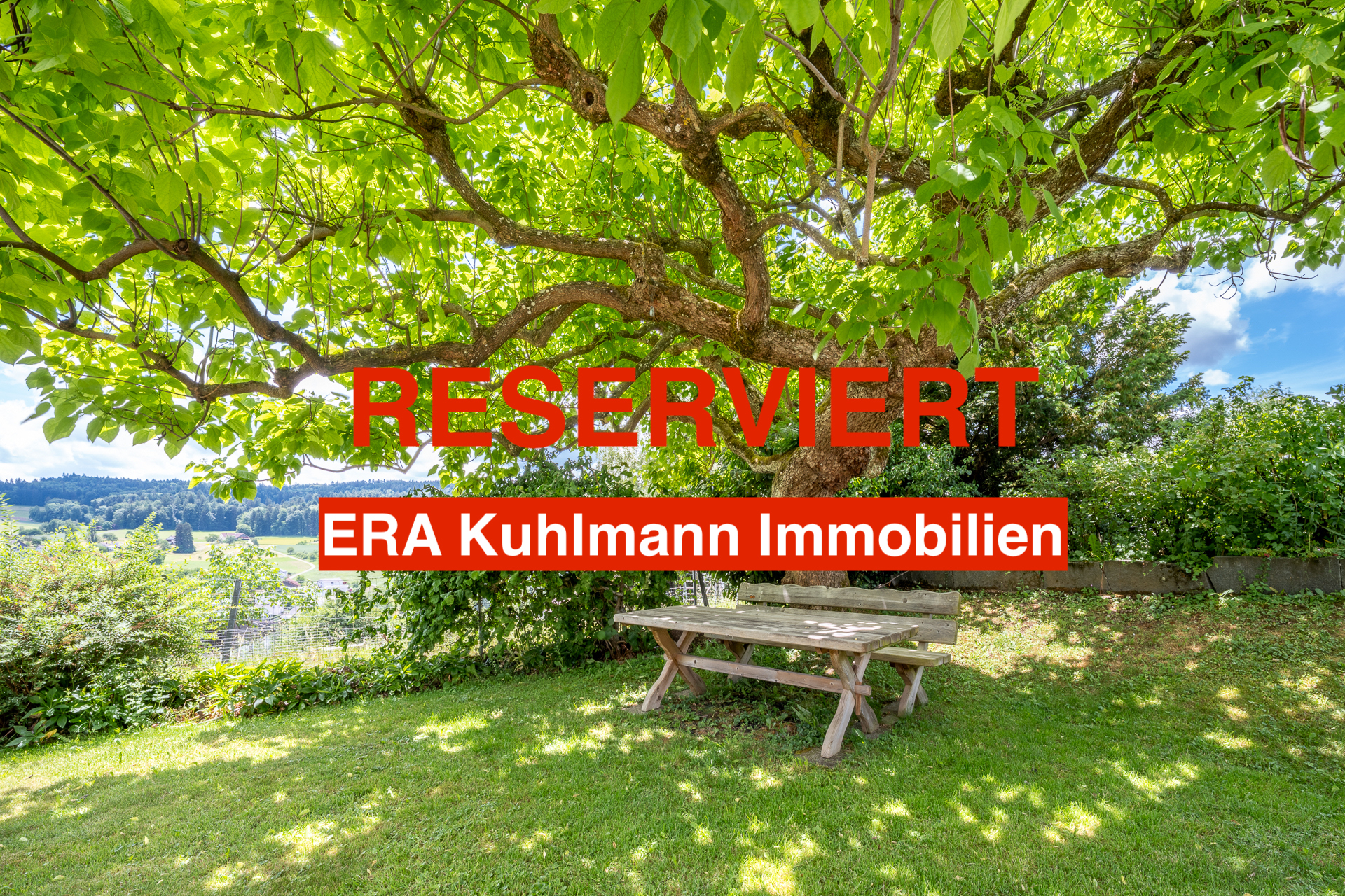 Titelbild