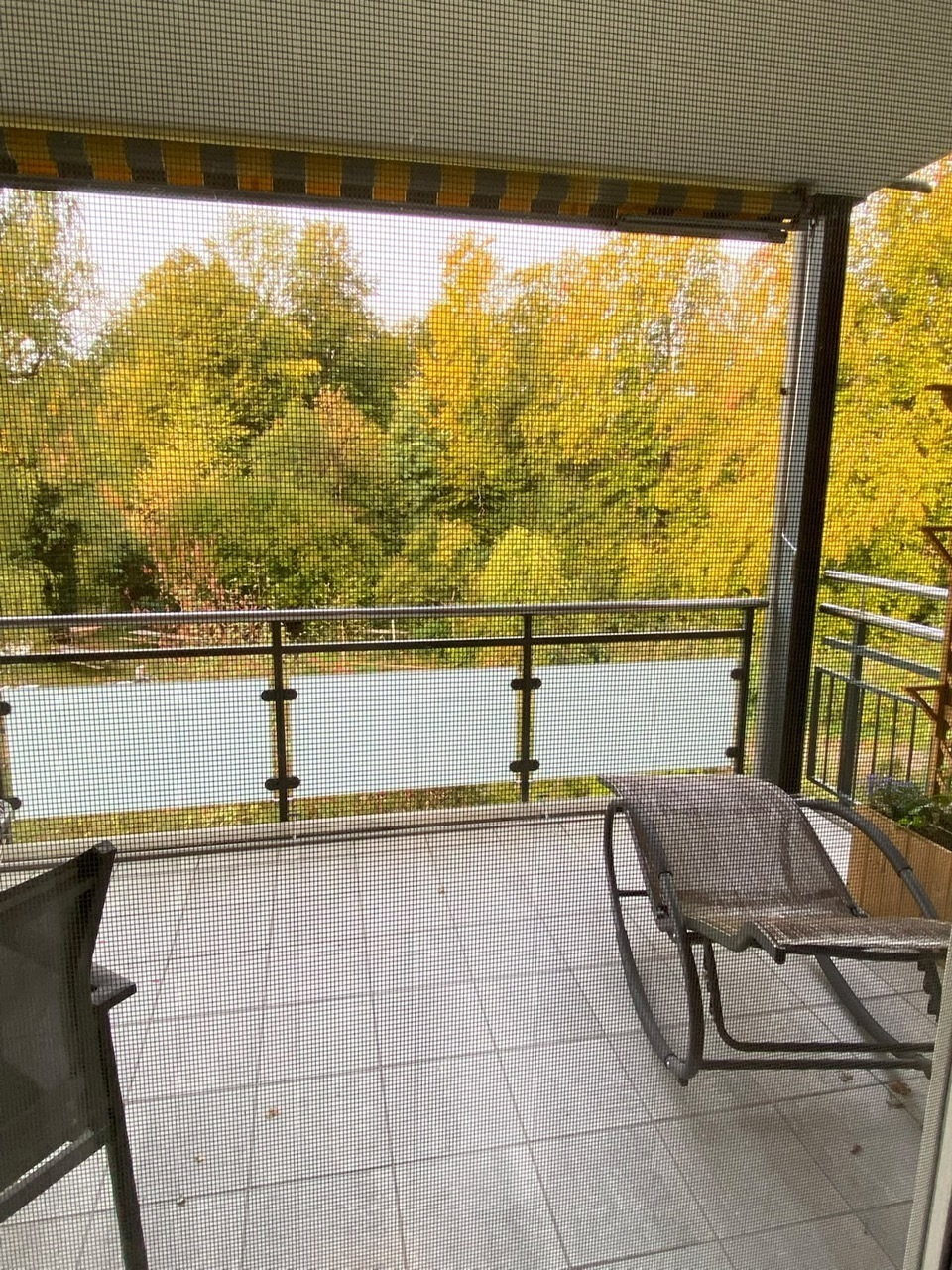 Picture 5