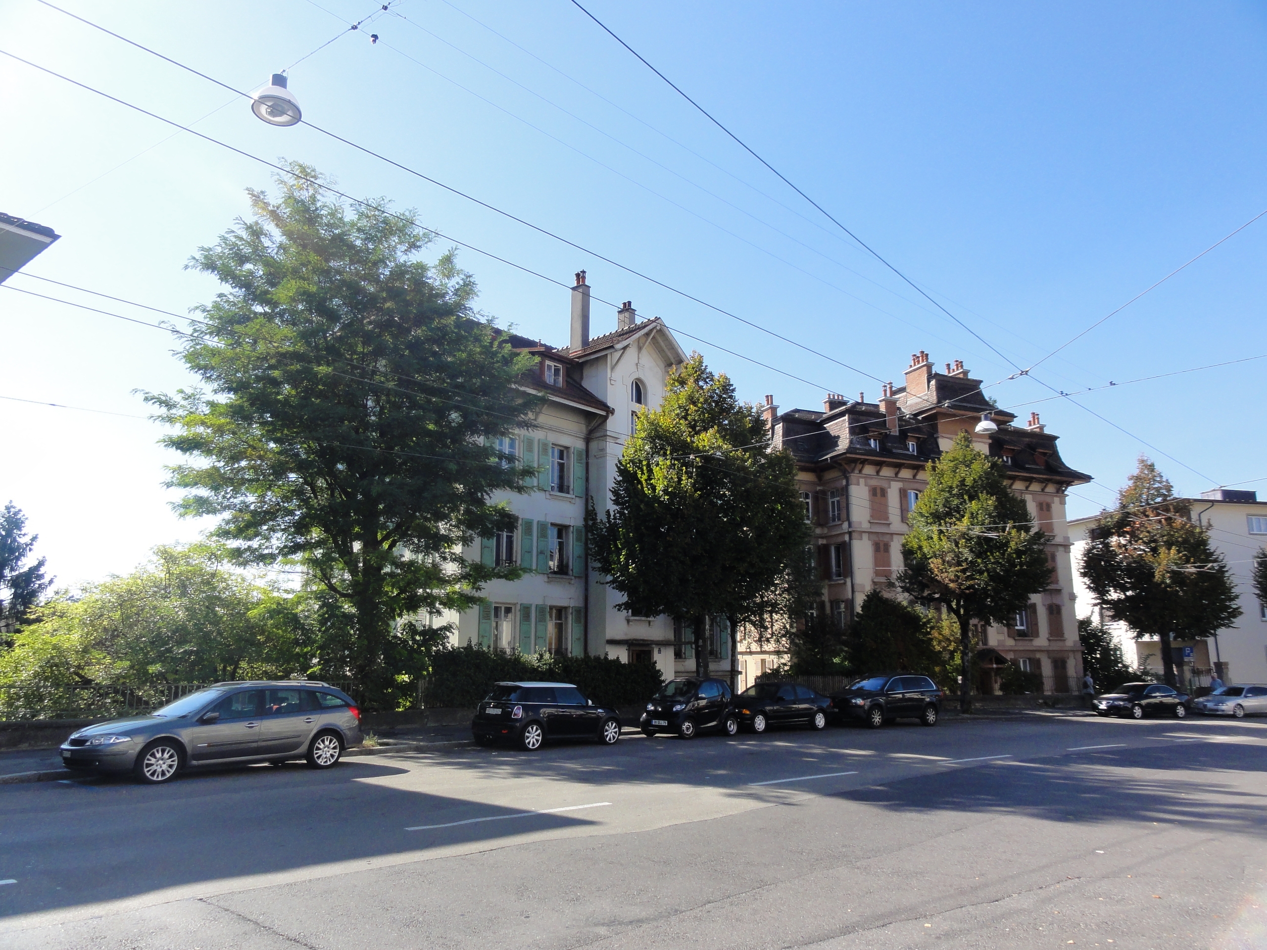 Photo 7