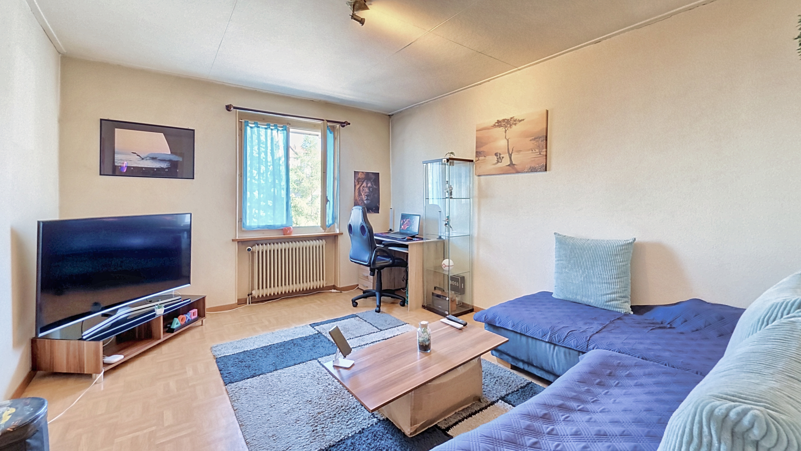 Appartement 2 pces combles - séjour