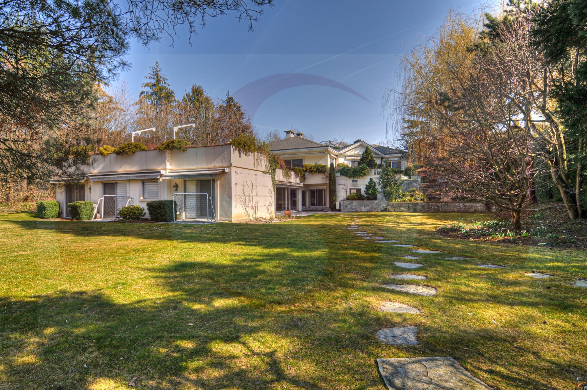 Immagine di copertina