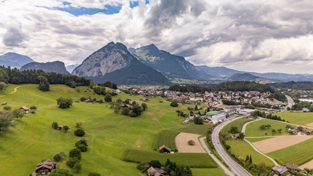 Immagine di copertina 2