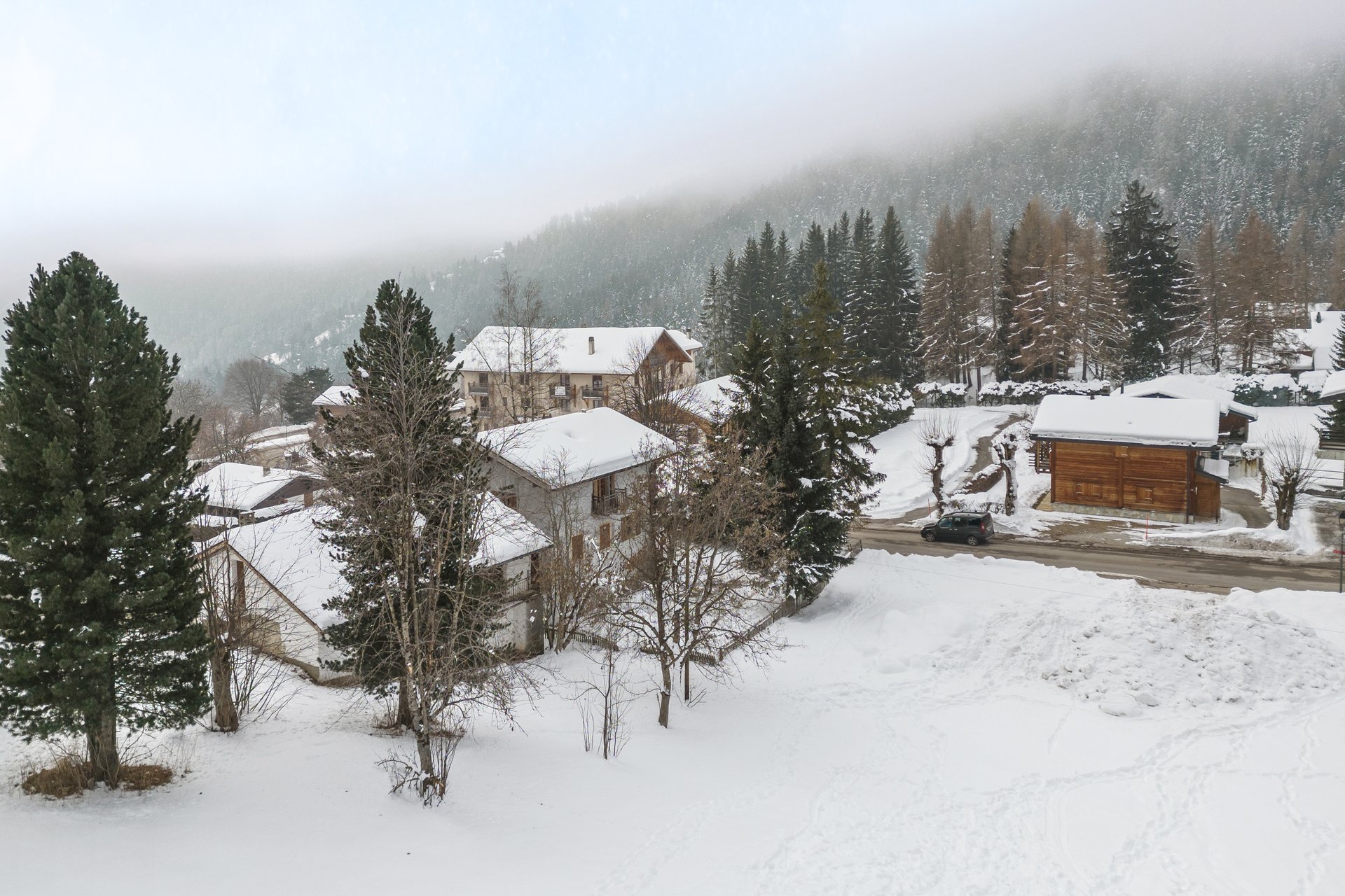 Ein schön bewaldetes Grundstück Ein schön bewaldetes Grundstück