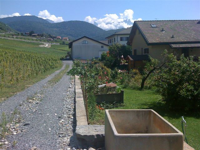 Photo 4