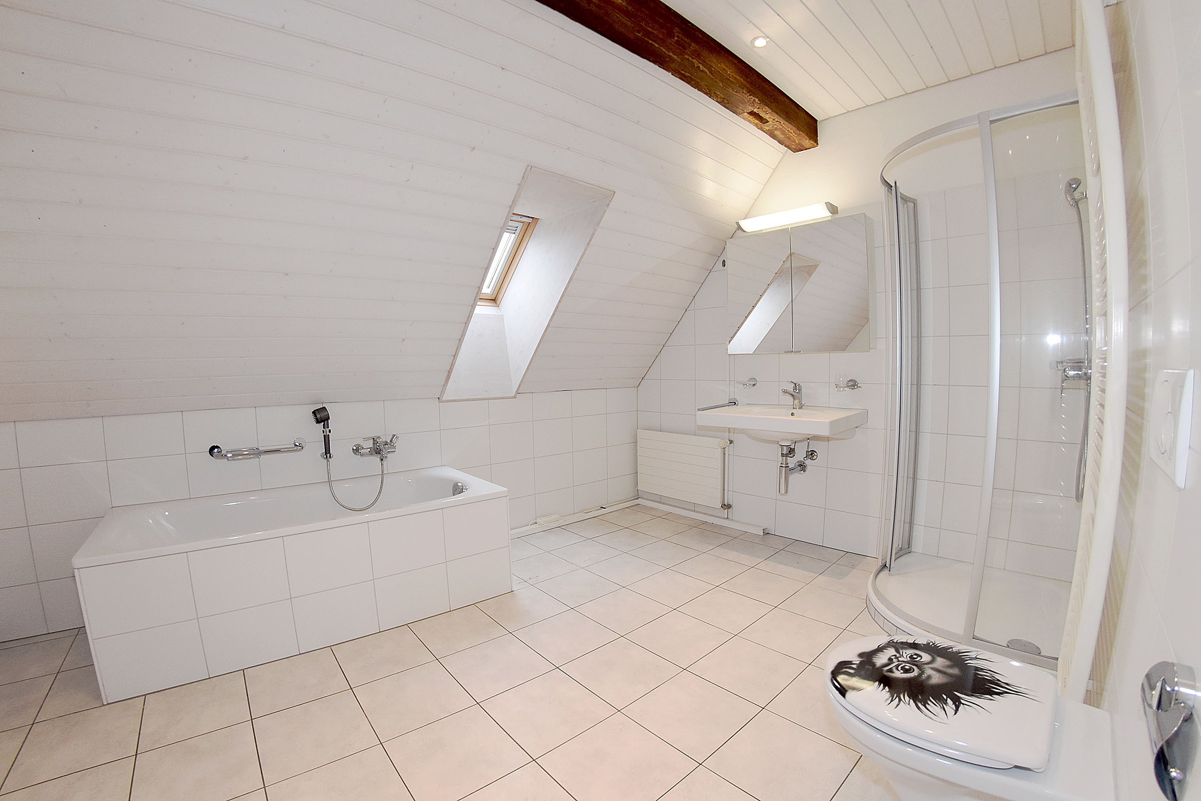 das grosse Bad im DG das grosse Bad im DG