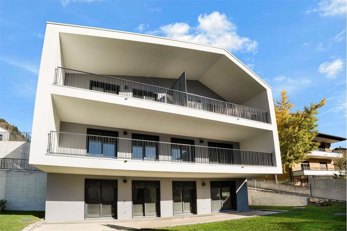 Immagine di copertina