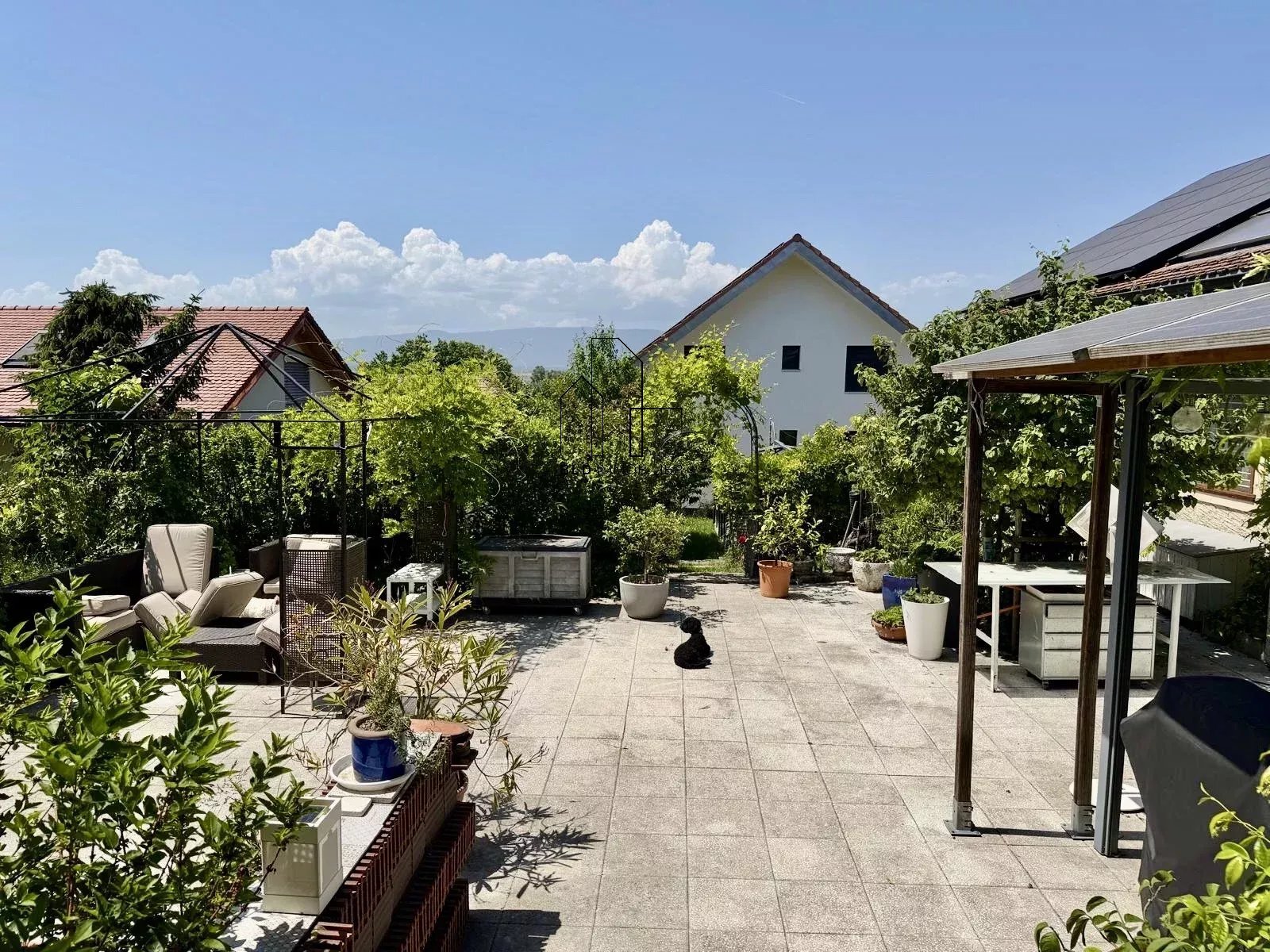 Foto 13
