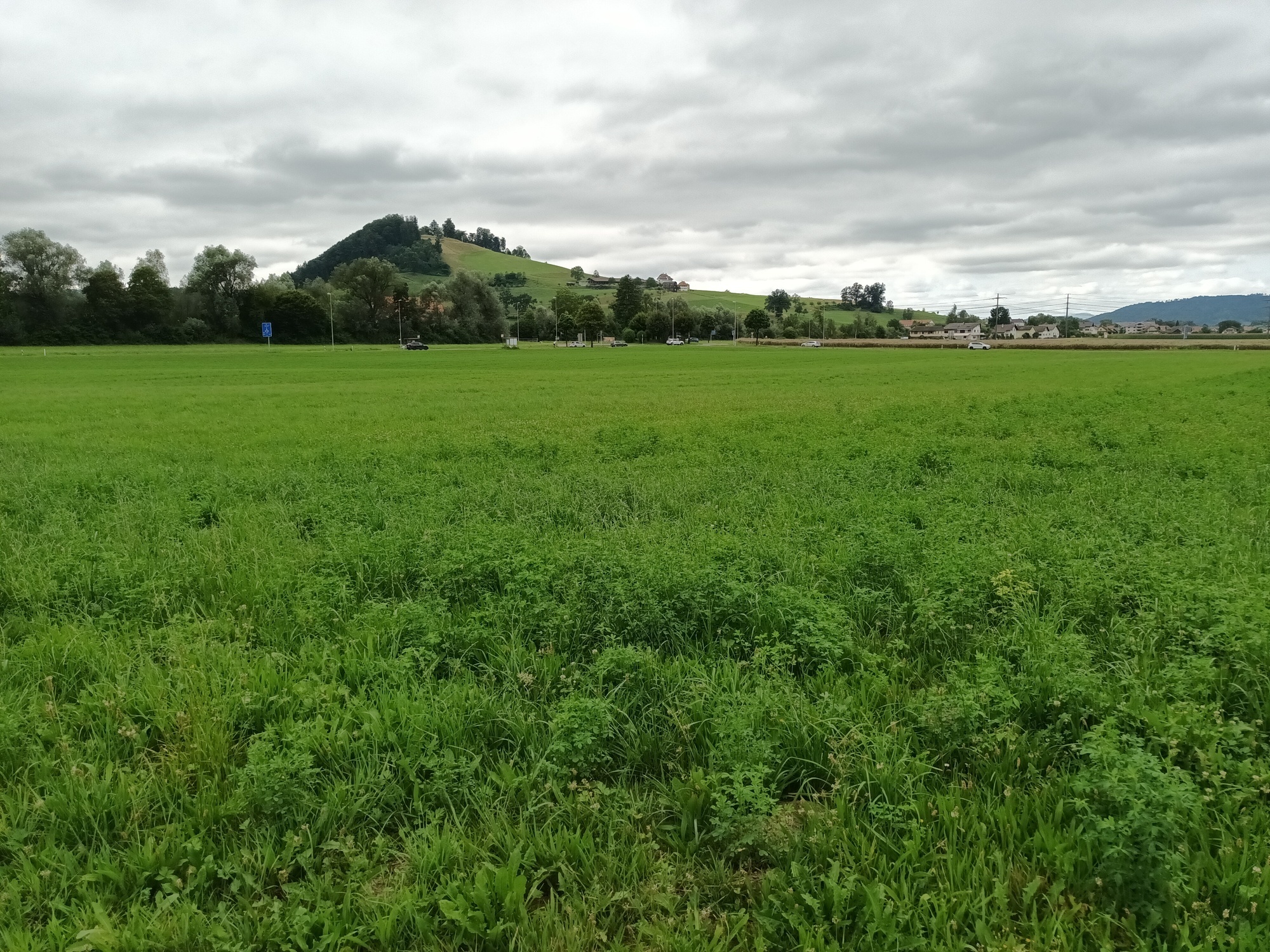 Ansicht Grundstück