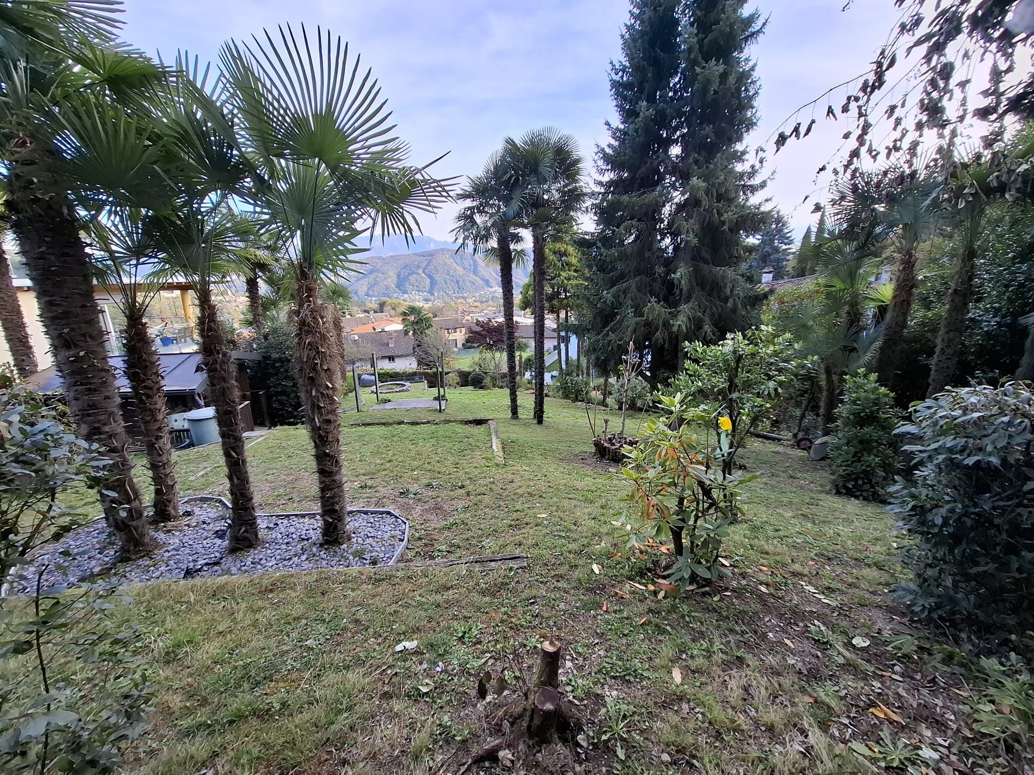 Image 11