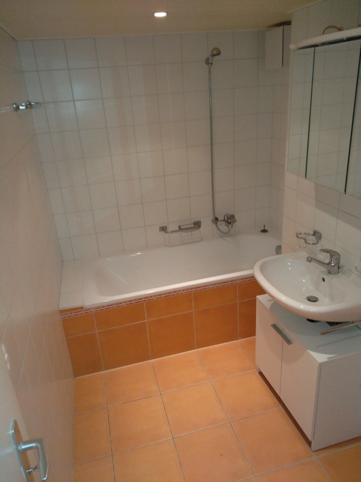 Picture 8