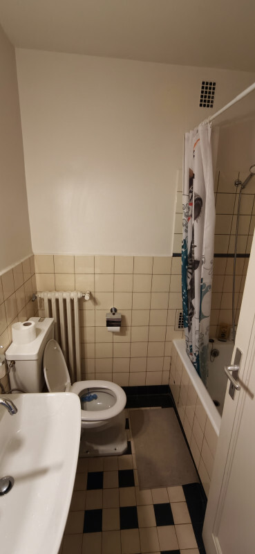 Picture 5