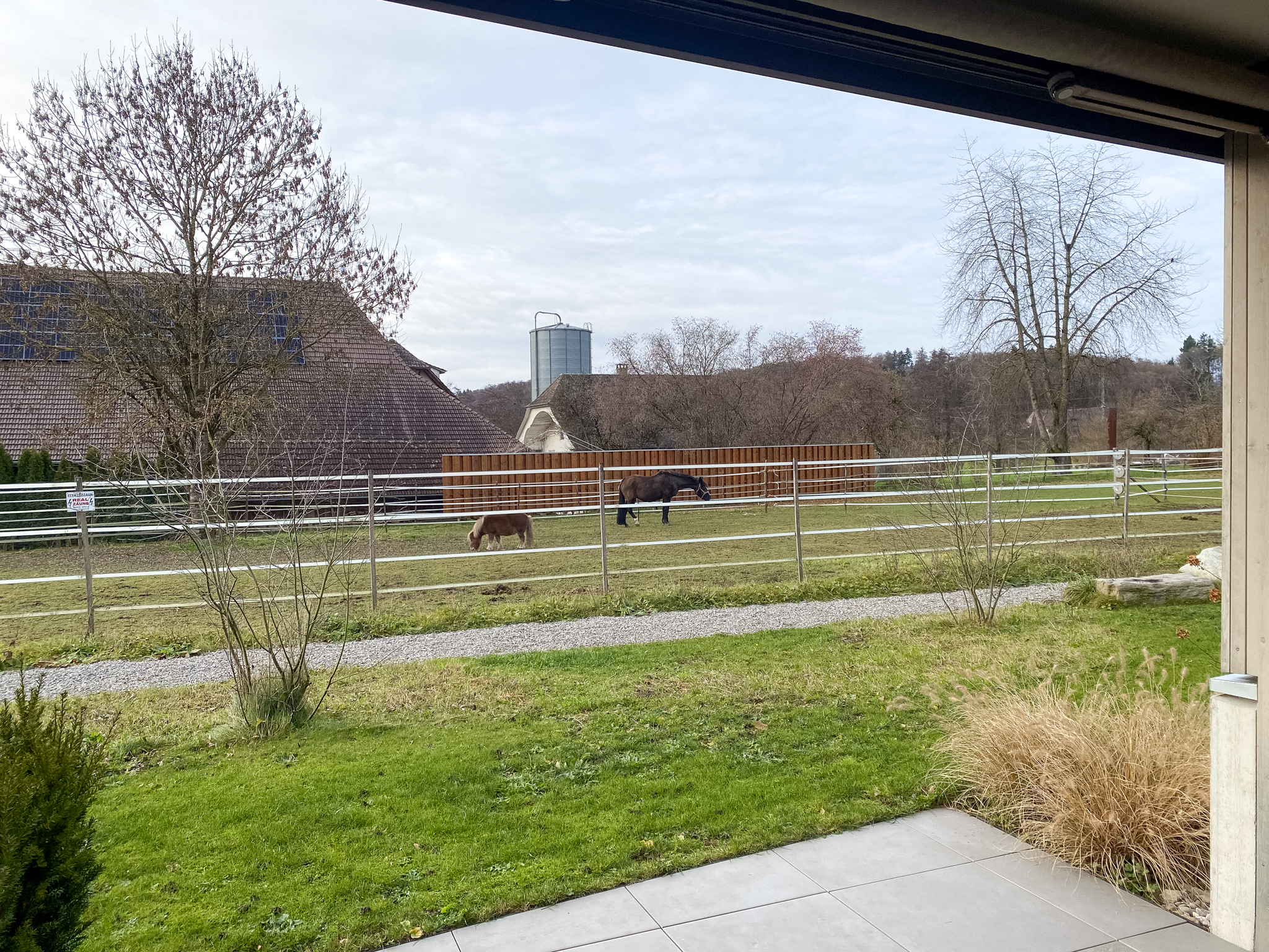 Aussicht von Loggia/Terrasse 