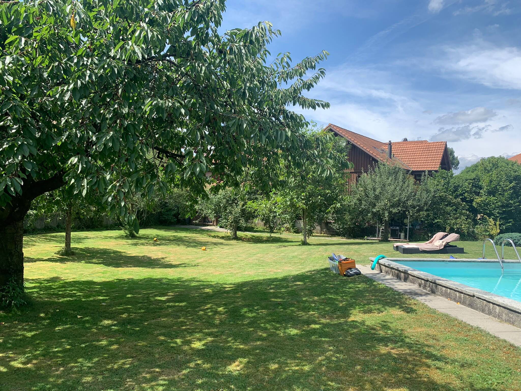 Garten mit Obstbäumen. Garten mit Obstbäumen.