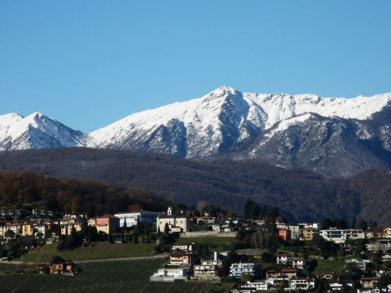 Immagine di copertina