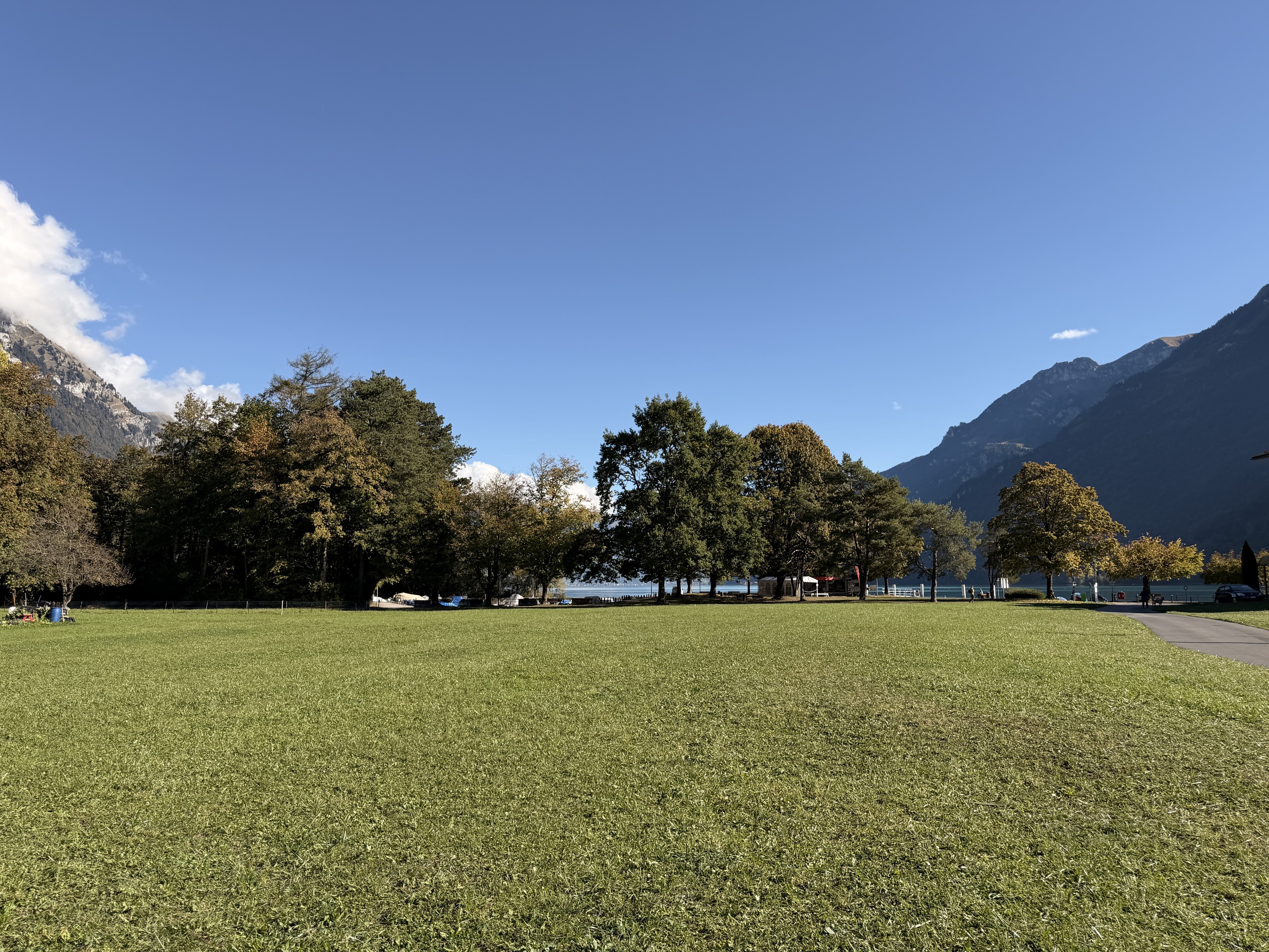 Zugang zum Brienzersee