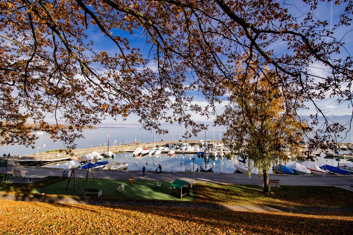 Immagine di copertina