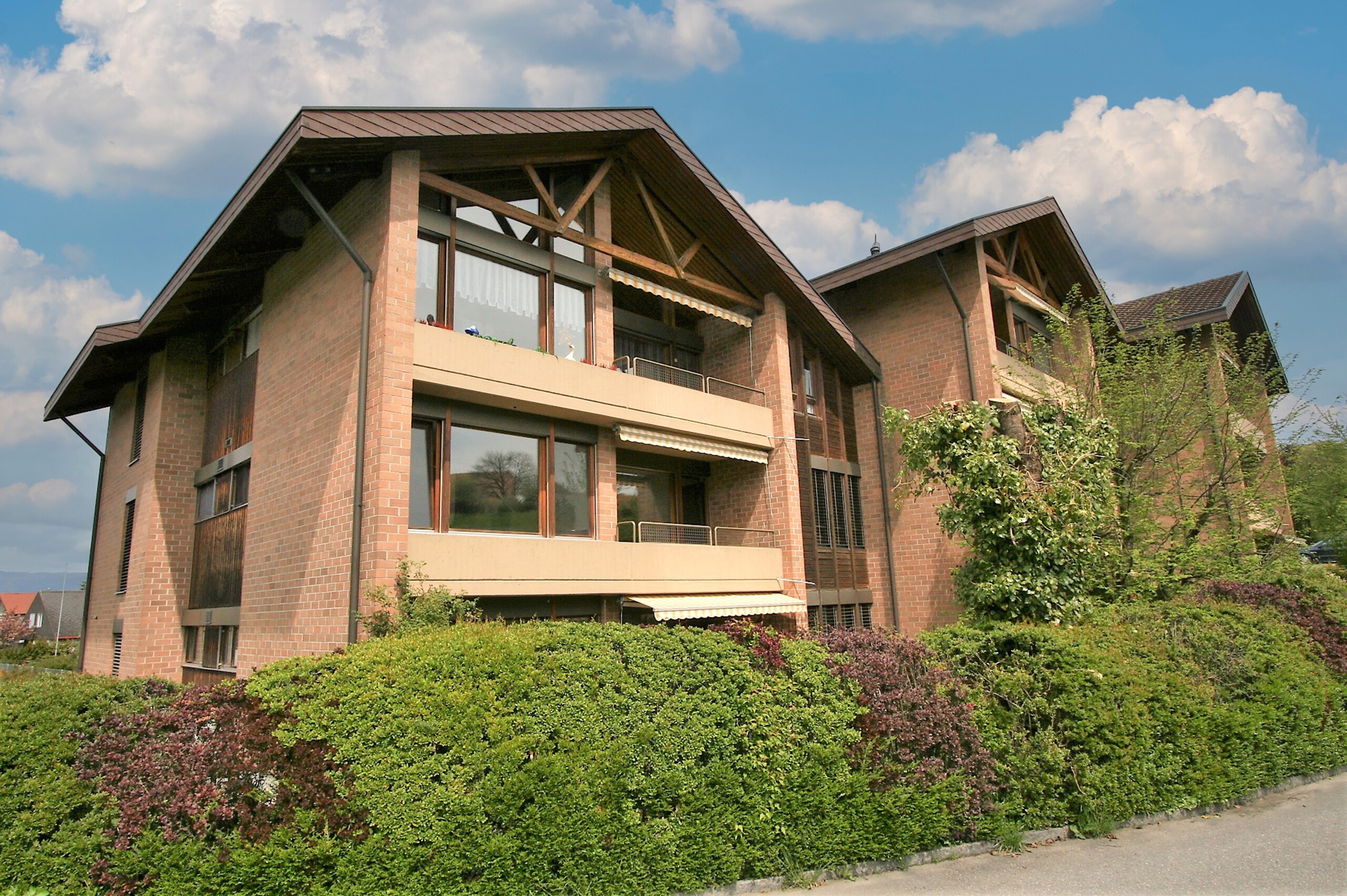 Immagine di copertina