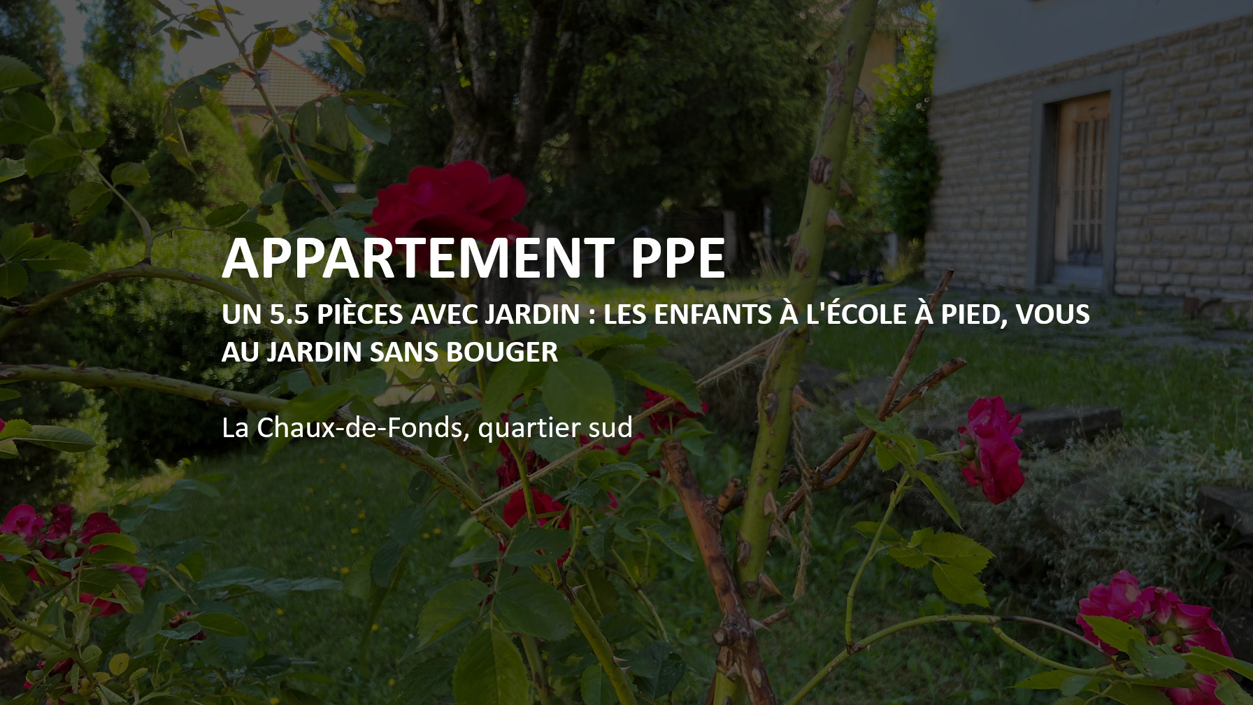 Premier coup d'oeil