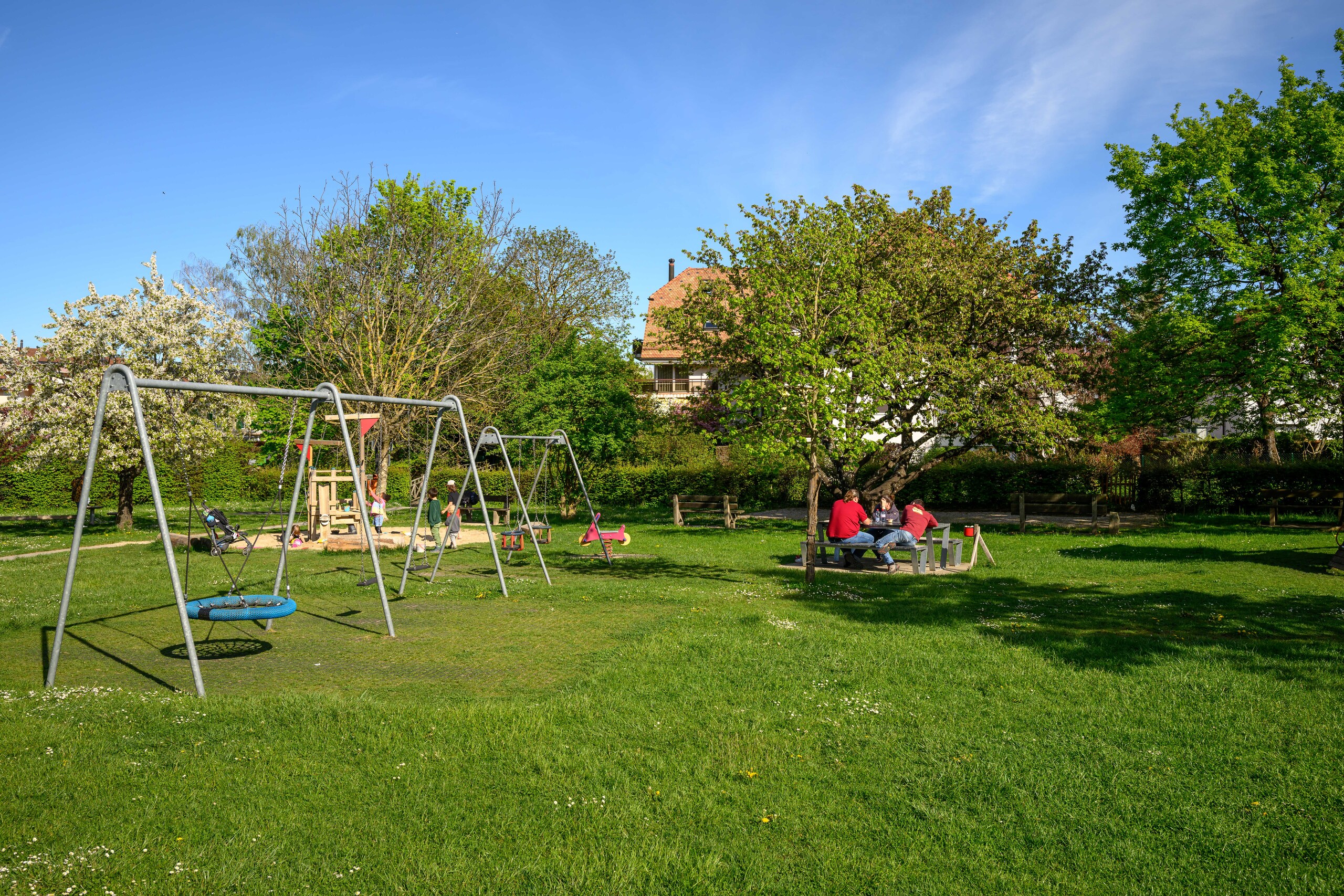 Photo 8