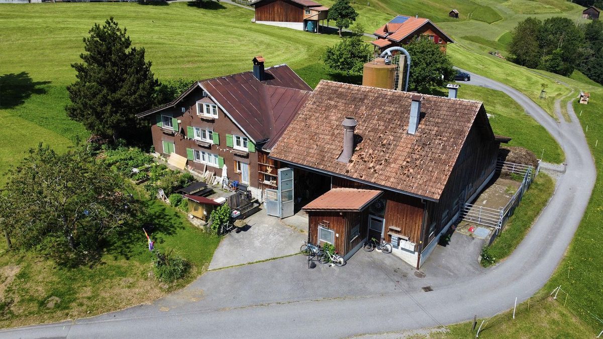 Premier coup d'oeil 2