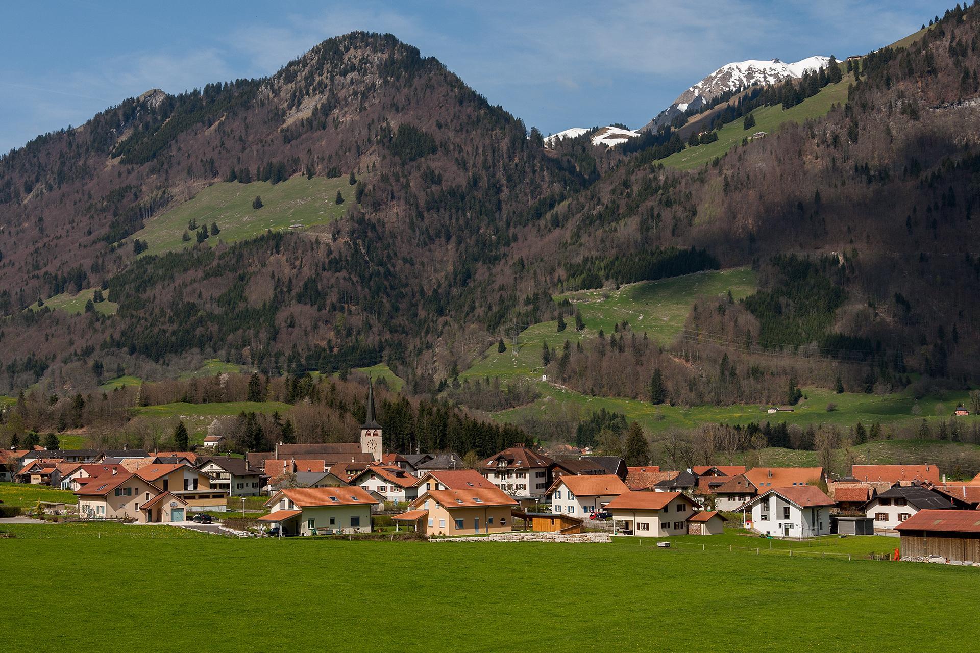 Foto