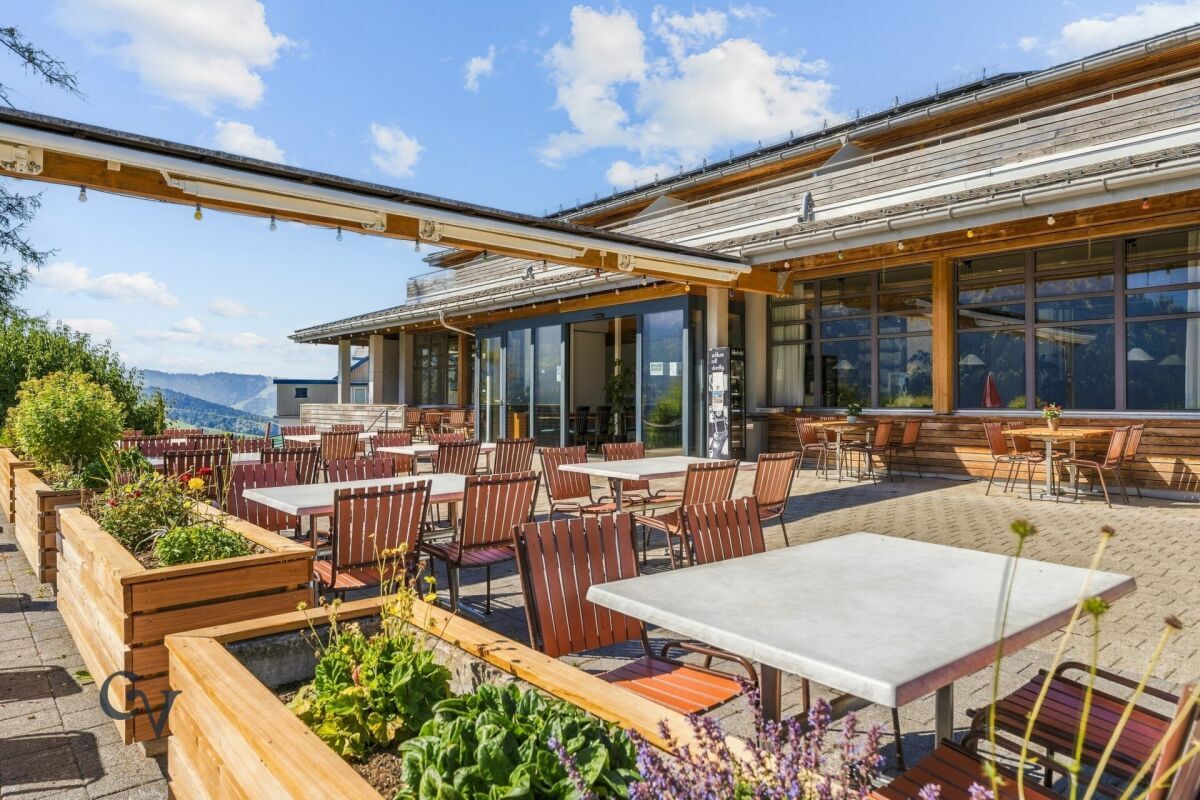 Terrasse links - vom Gastraum aus gesehen